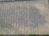 image of grave number 956856